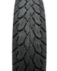 Покришка "10" 3.00-10 Б/К BLACK CAT (AC-517) COMFORT 6PR дорожня TL фото westvelo.com