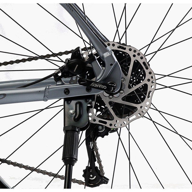 Велосипед 29 AL Corso «MAGNUS» MG-91446 алюміній 21", (к-т SHIMANO) срібний фото westvelo.com