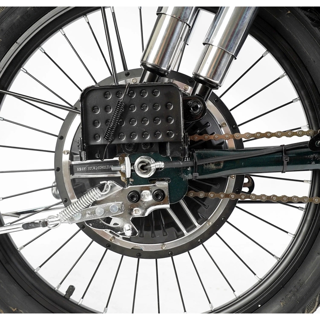 Електровелосипед 22 ST Corso «SHADOW» SH-8036-9 сталь, двигун 500W, акумулятор 48V20Ah літієвий, темно-зелений фото westvelo.com