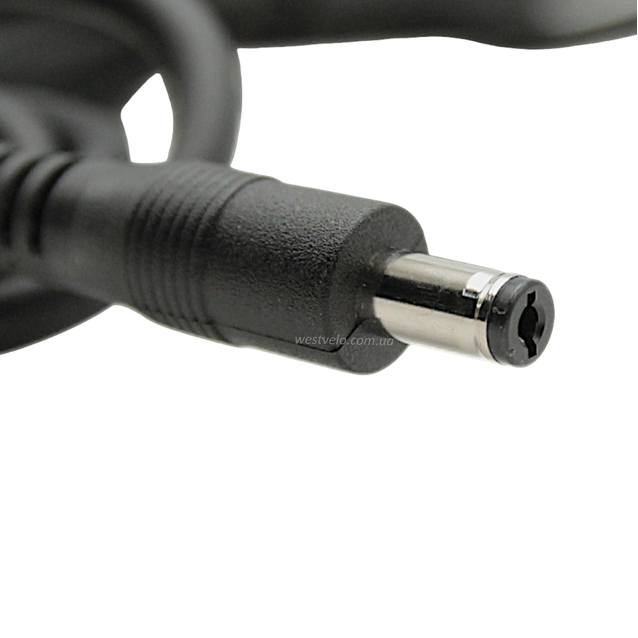 Зарядний пристрій (54.6V 2Ah) для Li-ion акумуляторів (DPLC110V55) фото westvelo.com