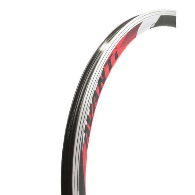 Обід 26 подвійний чорний круглий AVANTI фото westvelo.com