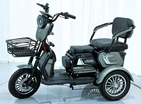 Трицикл Corso «LOGAN L» L-315078, двигун 1200W, акумулятор 72V 24Ah літій-марганець-залізно-фосфатний, сірий, колеса 10" фото westvelo.com