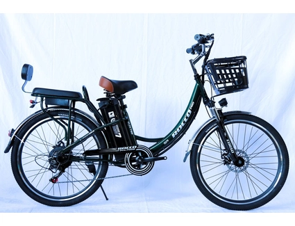 Електровелосипед 26 ST Corso «ROCCO» RC-81701 сталь, двигун 750W, акумулятор 48V 20Ah літієвий, темно-зелений
