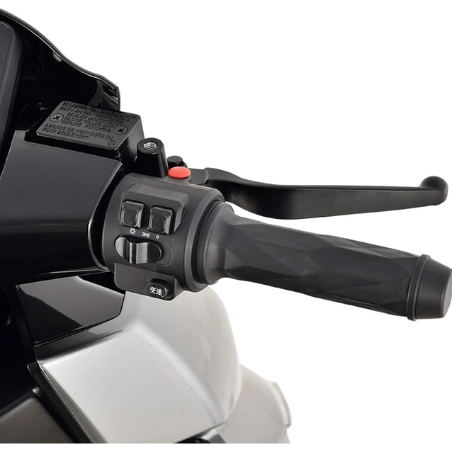 Електроскутер Tailg «S91» A03, двигун 2000W, акумулятор 72V 38Ah графеновий, чорний, колеса 12" + 1 ящик. акум фото westvelo.com