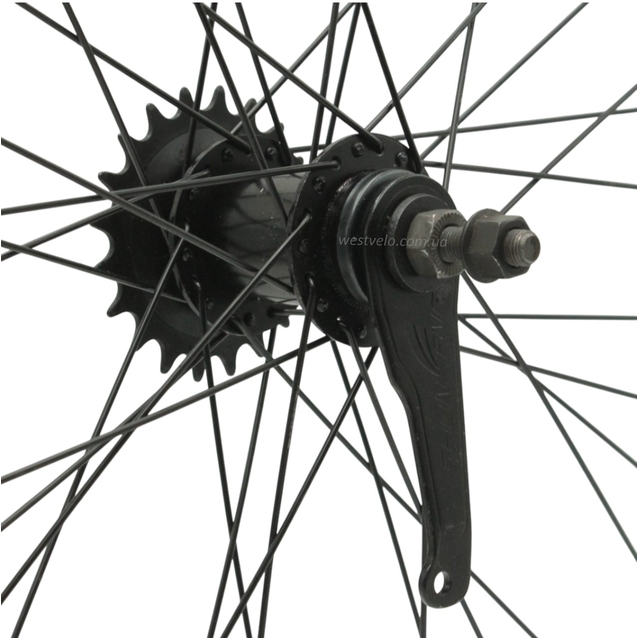 Колесо 24 зад, обід 2-ний сірий, втулка Shunfeng SF-CT01 + к-т 19 зубів фото westvelo.com