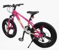 Велосипед 20 AL Corso «EVOLUTION» EV-20103 алюміній 11", (к-т SHIMANO) рожевий фото westvelo.com