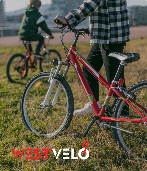 ровери спортивні оптом купити в інтернет-магазині Westvelo