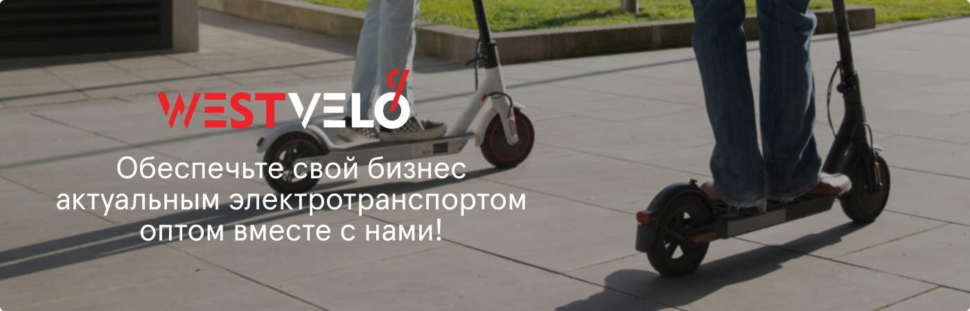 купить электрический самокат оптом в Westvelo
