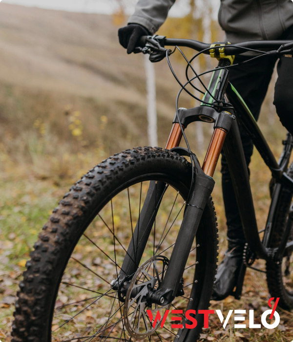 брендовые велосипеды опт купить в Westvelo 
