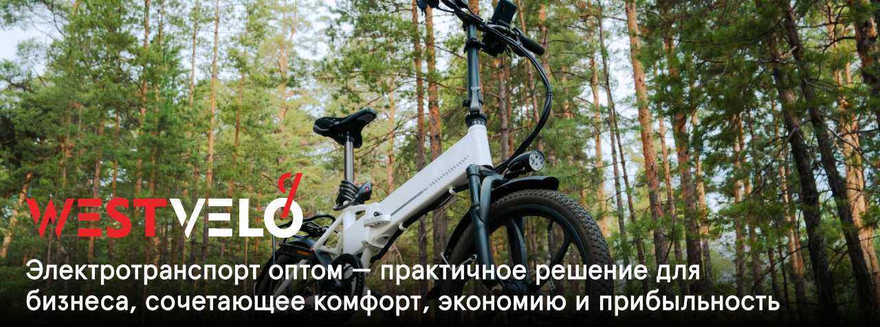 электротранспорт оптом