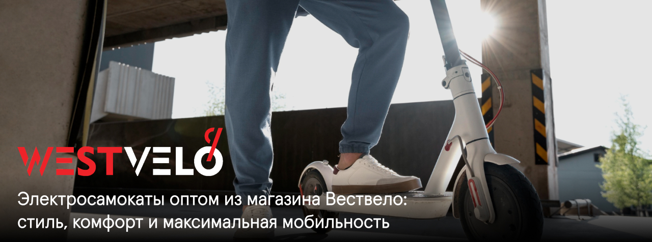 электросамокаты оптом