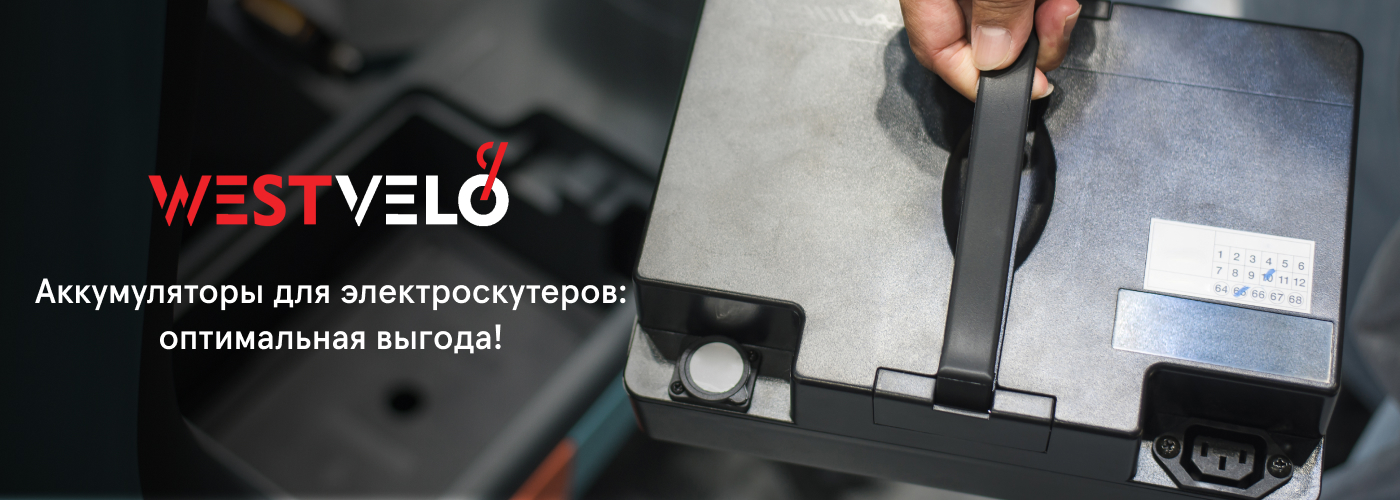 Электрический скутер купить оптом у партнера West Velo