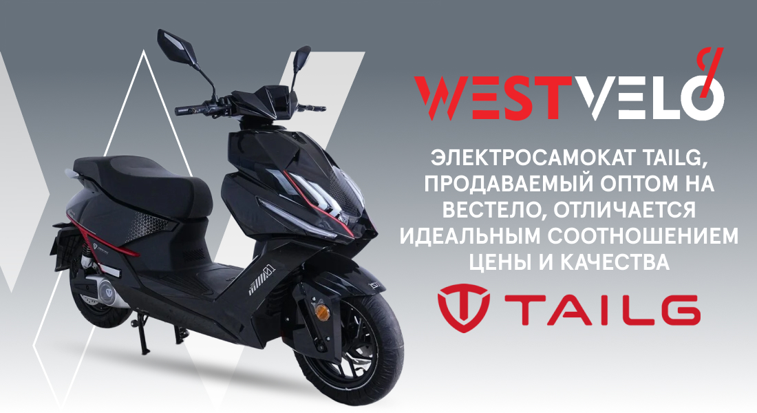 купить электроскутер TAILG оптом