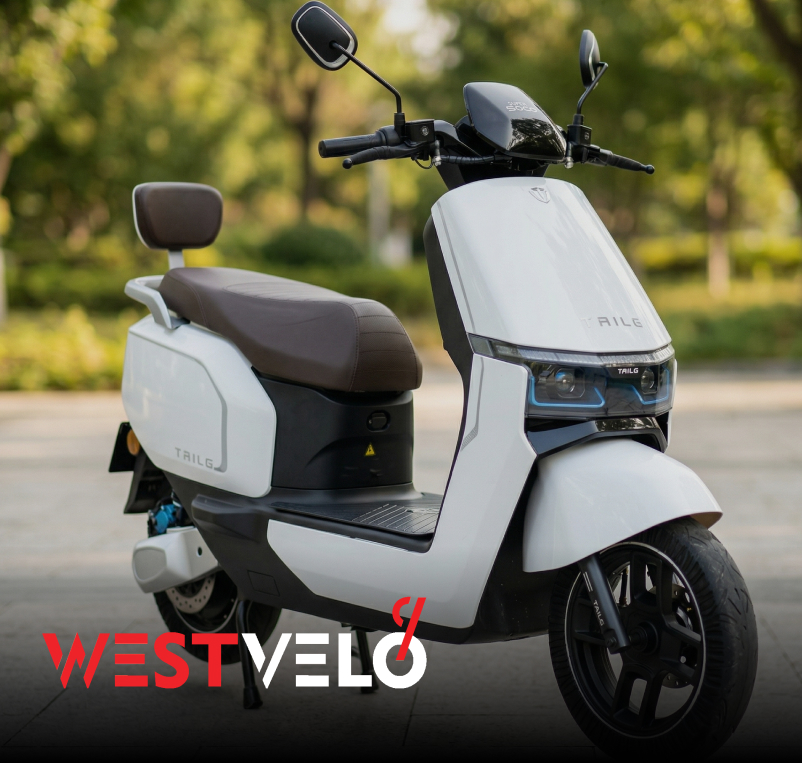 електроскутер tailg оптом