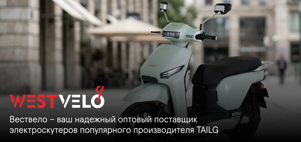 tailg электроскутер оптом