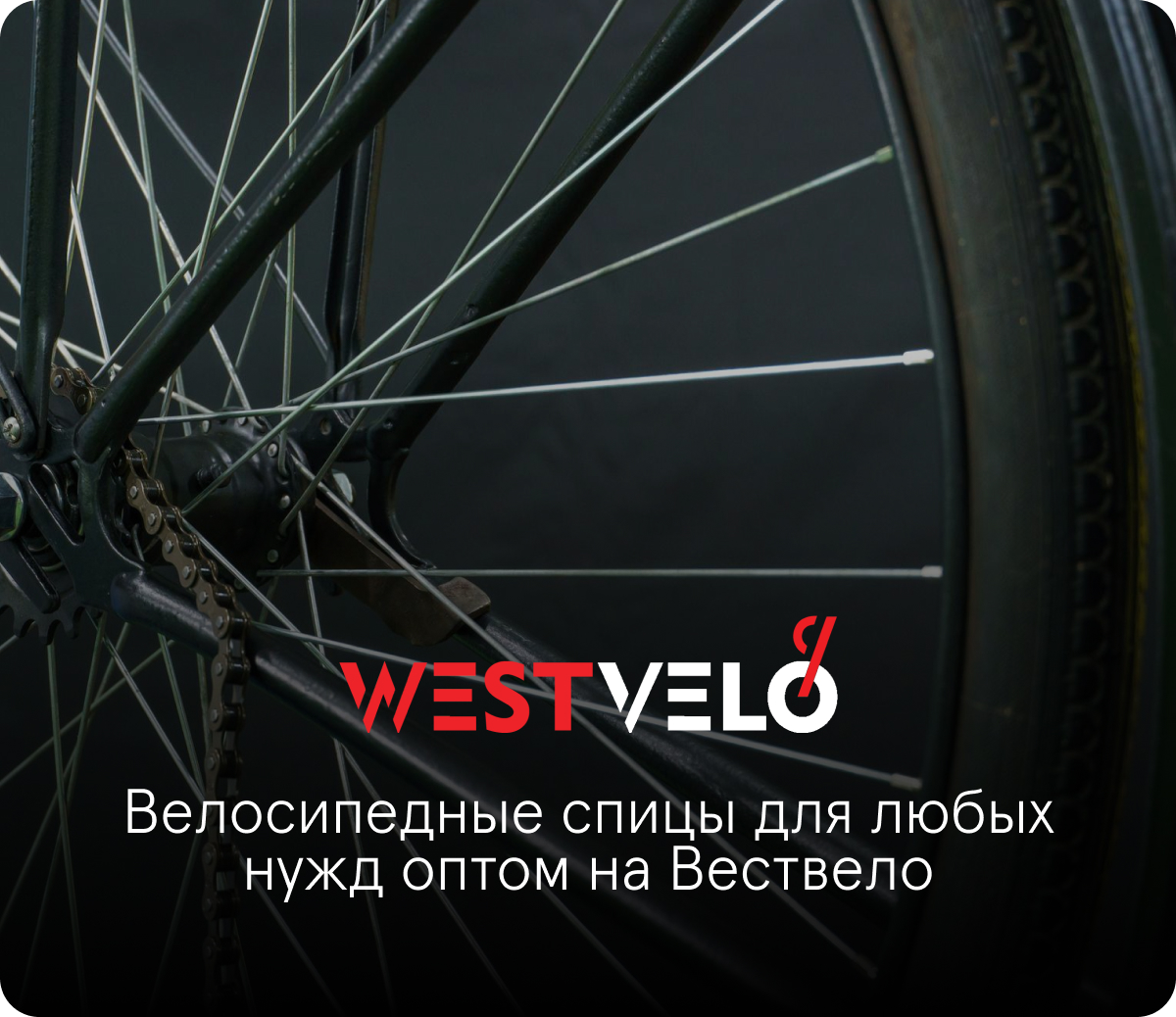 велосипедные спицы оптом и поштучно