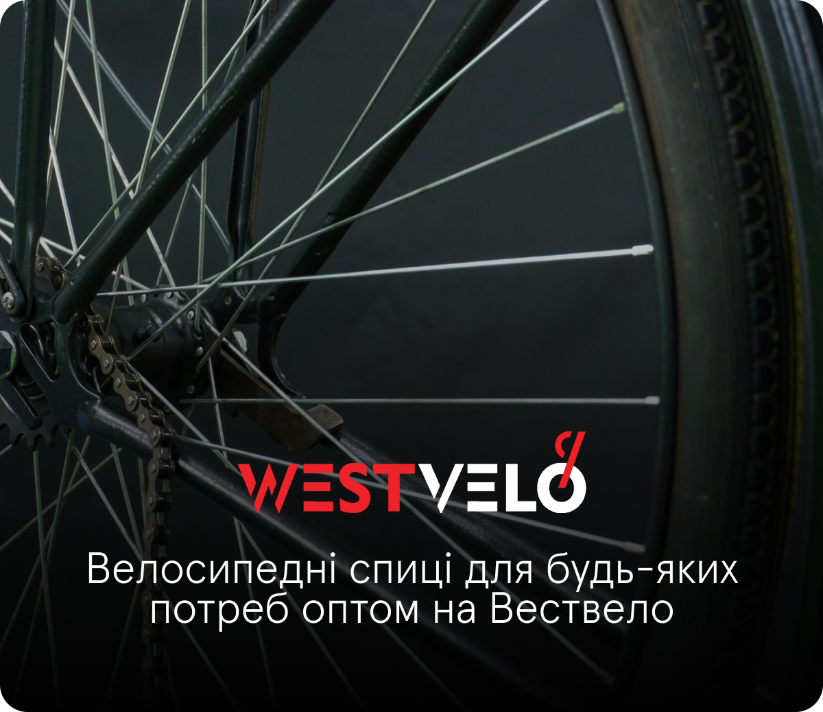 спиці велосипедні гуртом в упаковці