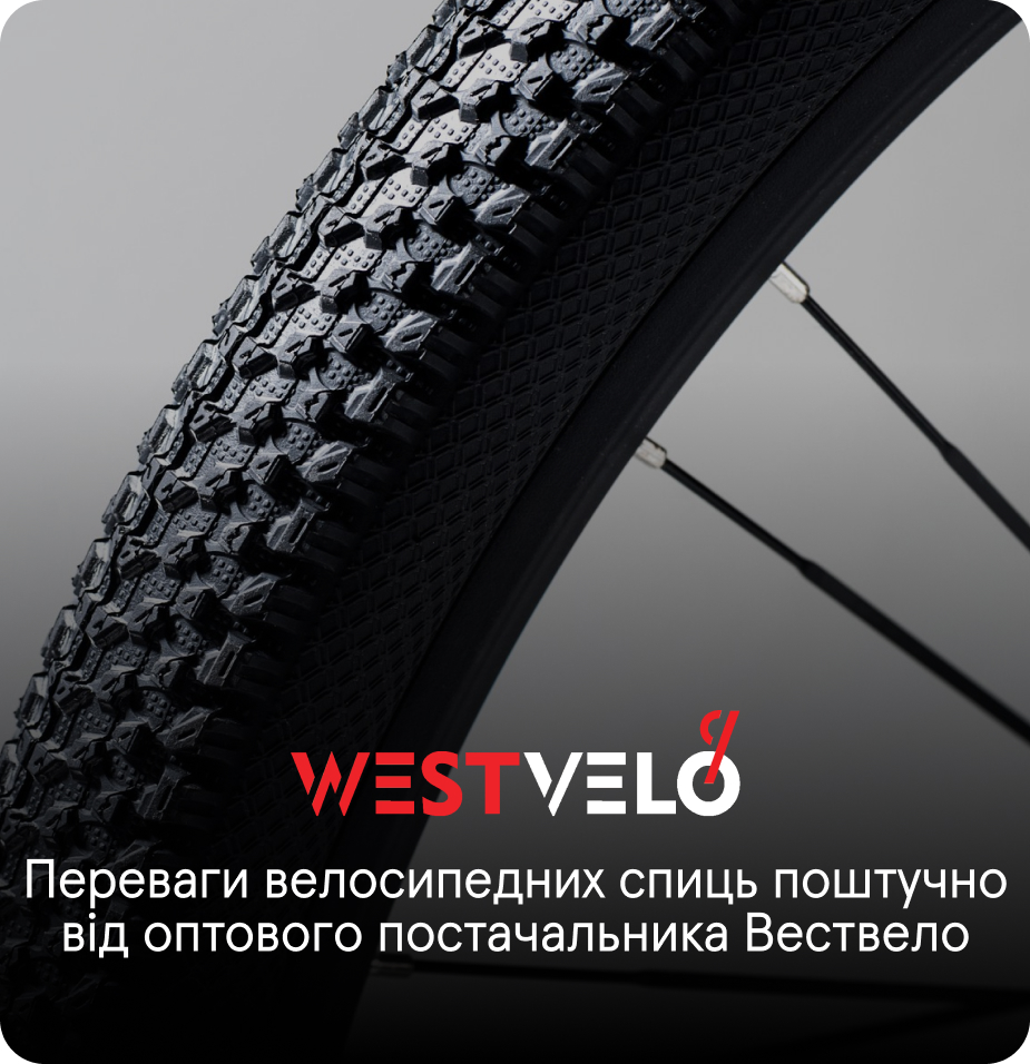 велосипедні спиці гуртом поштучно