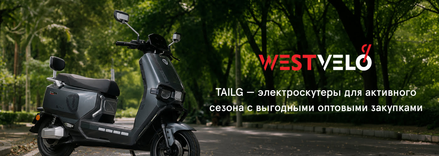 купить электротранспорт TAILG оптом