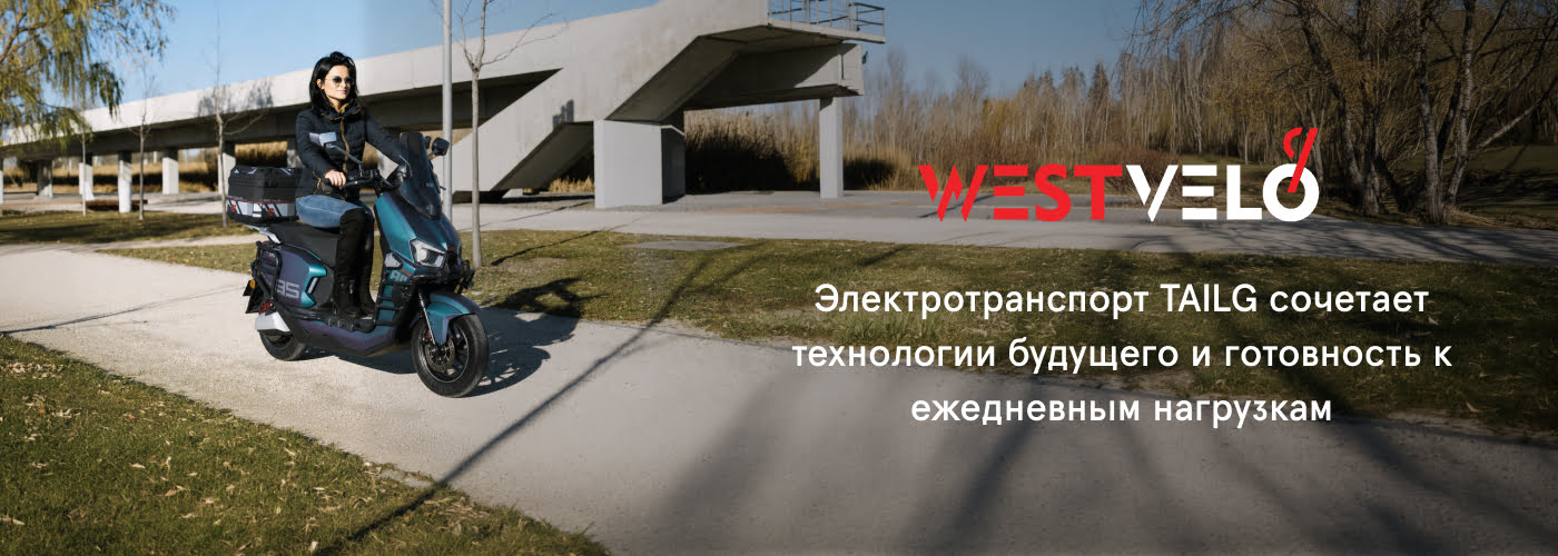 электрический транспорт TAILG оптом