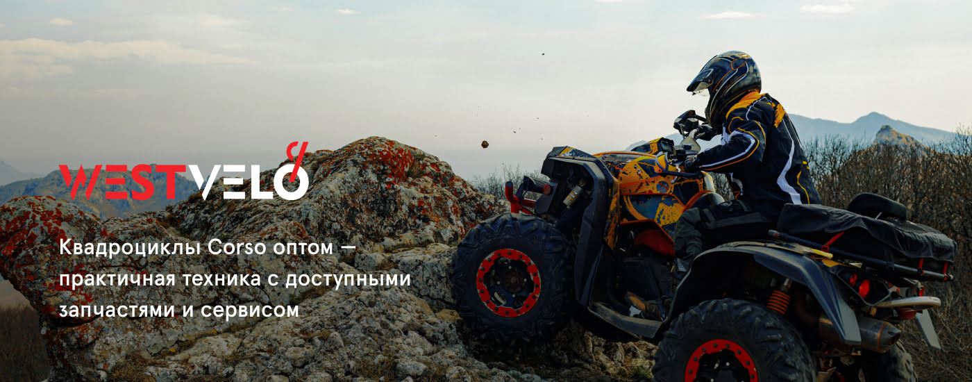 моторные квадроциклы оптом