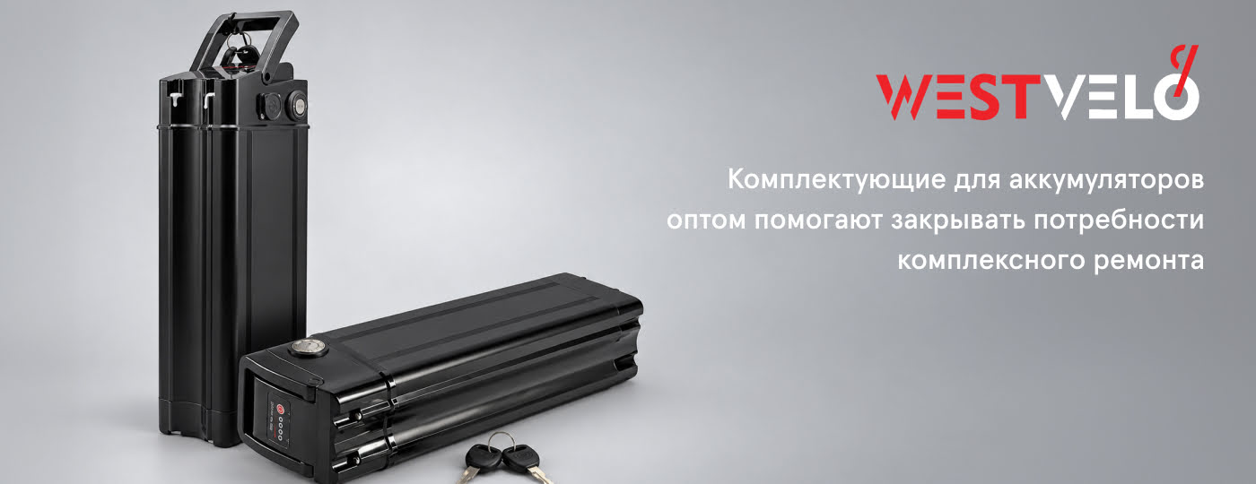 Тяговые аккумуляторы для электротранспорта оптом WestVelo